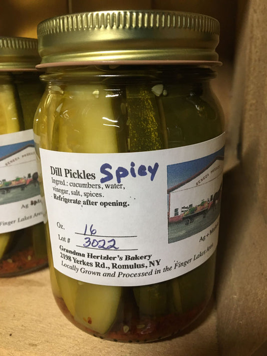 Spicy Dill Pickles